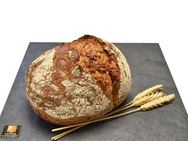 brood