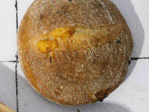 Gebriocheerd desem-kaasbrood